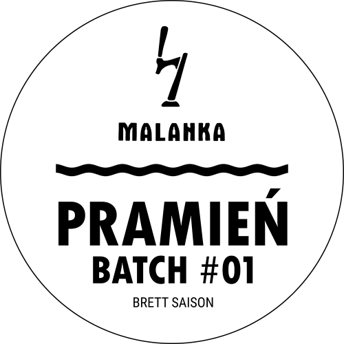 Brett Saison