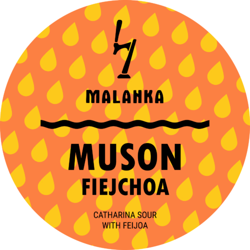 Catharina Sour With Feijoa