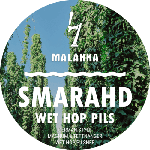 German-Style Magnum & Tettnanger Wet Hop Pilsner