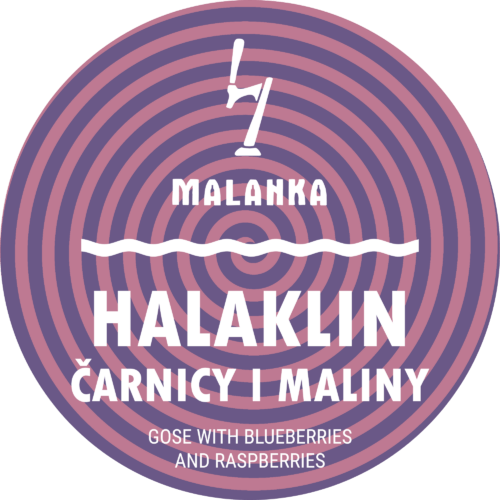 Gose with blueberries and raspberries